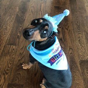 Meet your Posher, Natalia